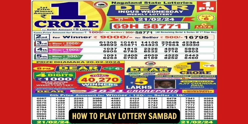 How to Play Lottery Sambad