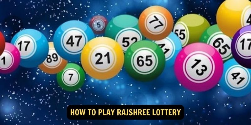 How to Play Rajshree Lottery