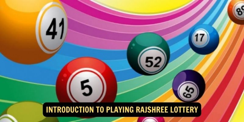 Introduction to Play Rajshree Lottery