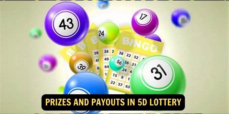 Prizes and Payouts in 5D Lottery