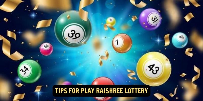 Tips for Play Rajshree Lottery